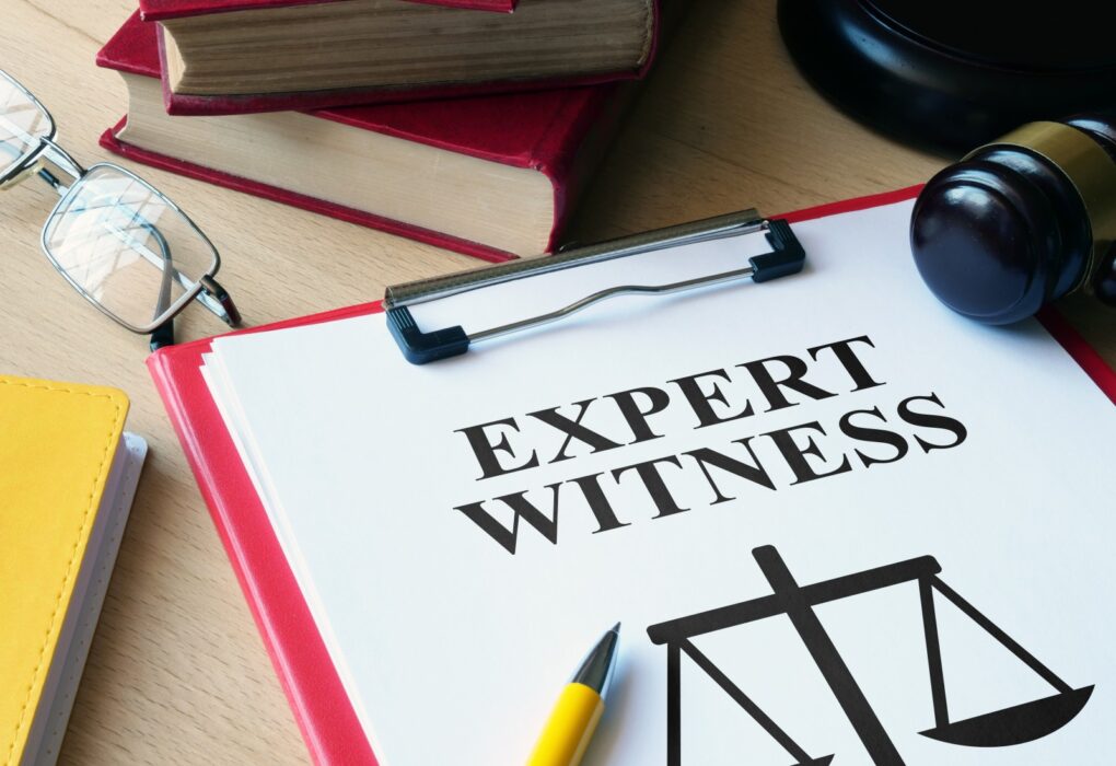 Expert Witnesses