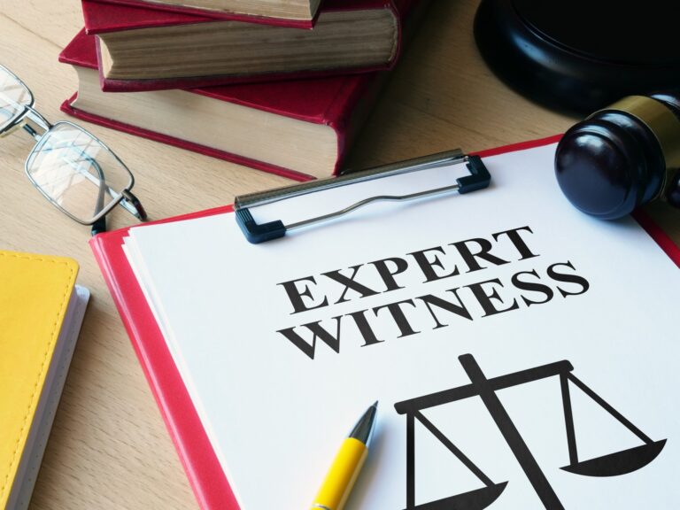 Expert Witnesses
